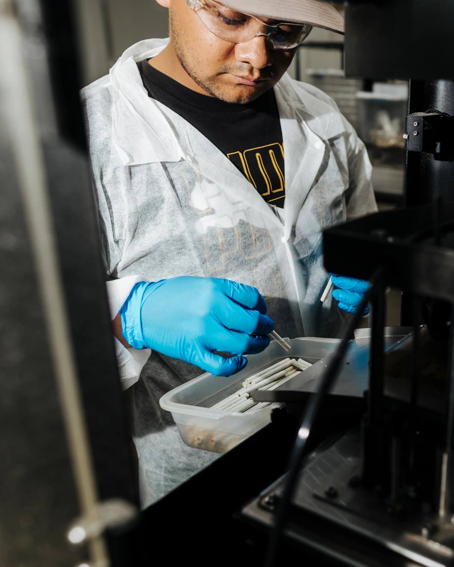 A worker in safety glasses and gloves inspecting a tray of rolled joints